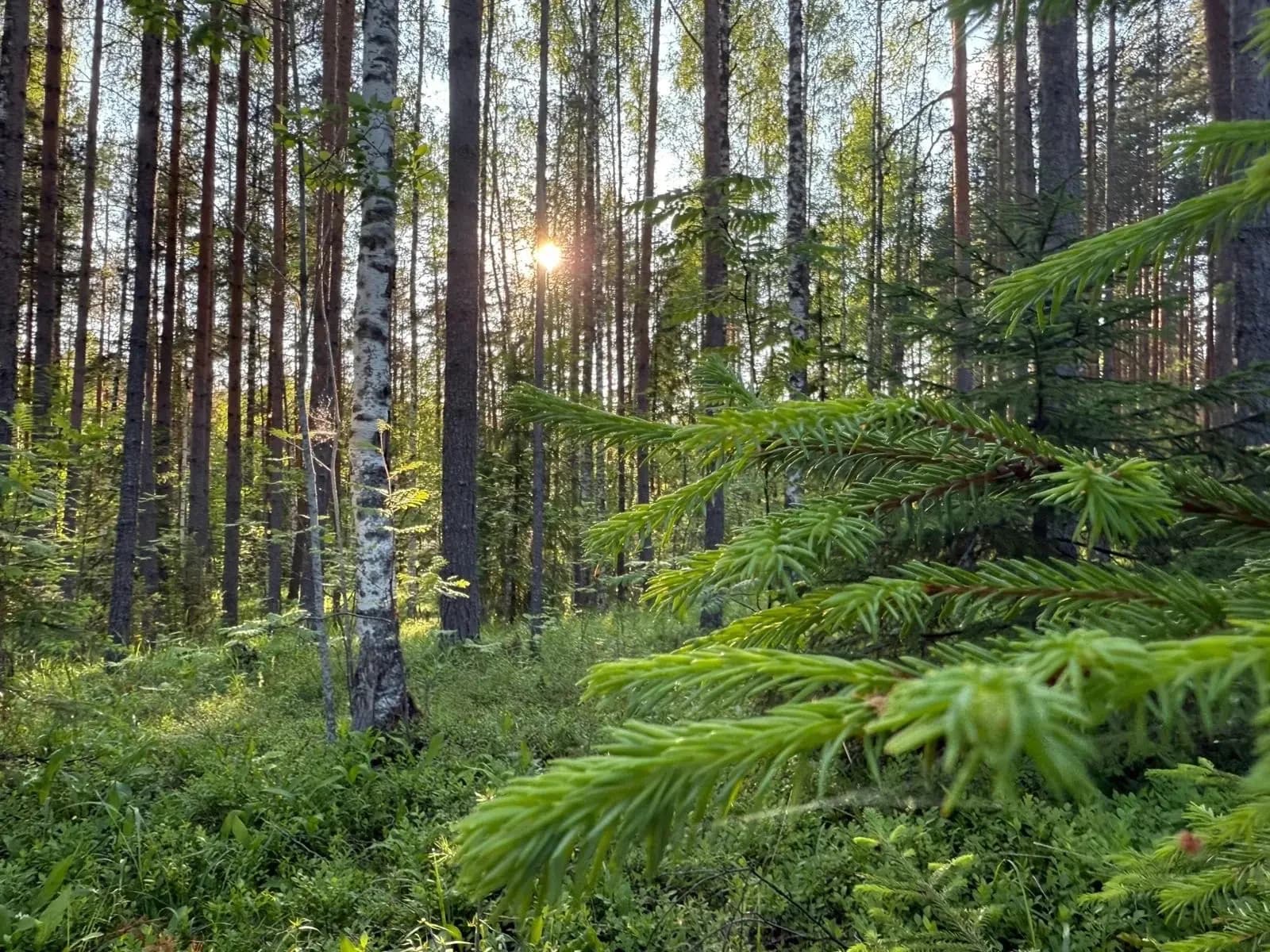 Между двух озёр — фото 4